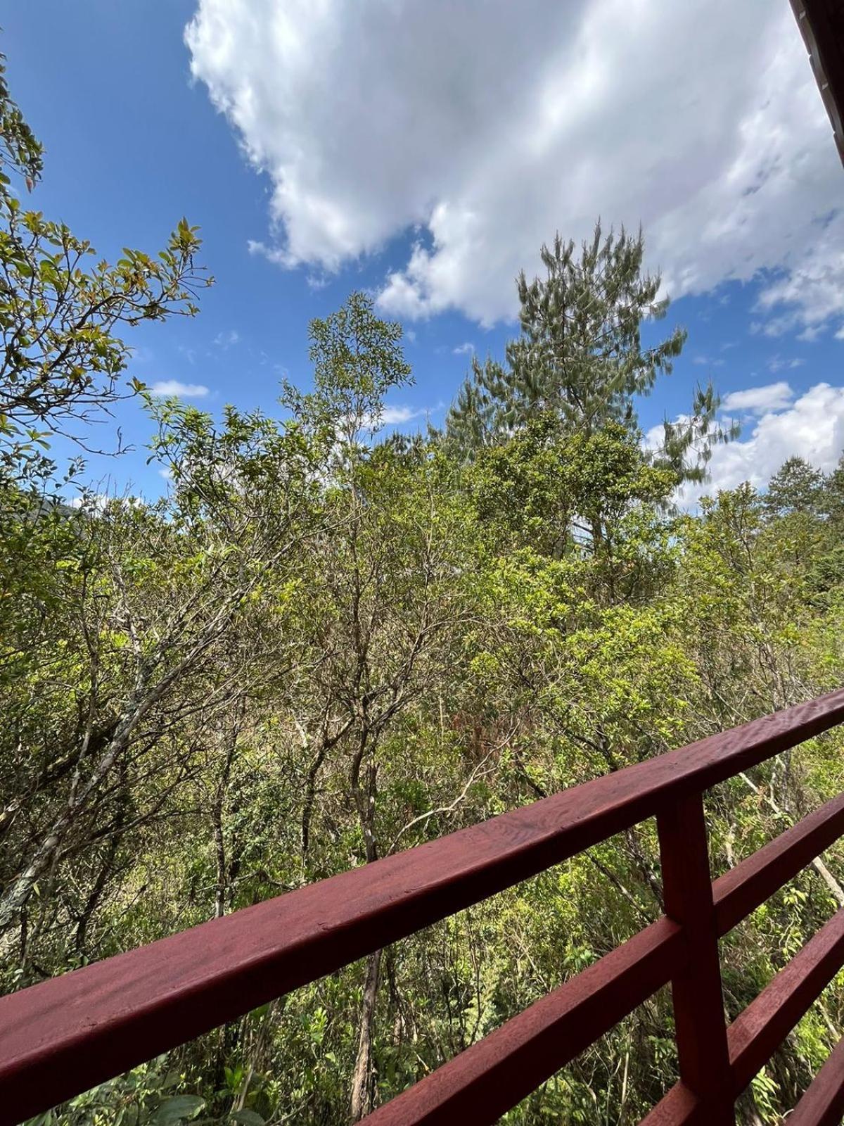 Pousada Recanto Do Saua - Monte Verde Монти-Верди Номер фото